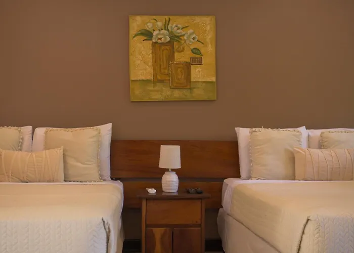 Hotel Diria Santa Cruz