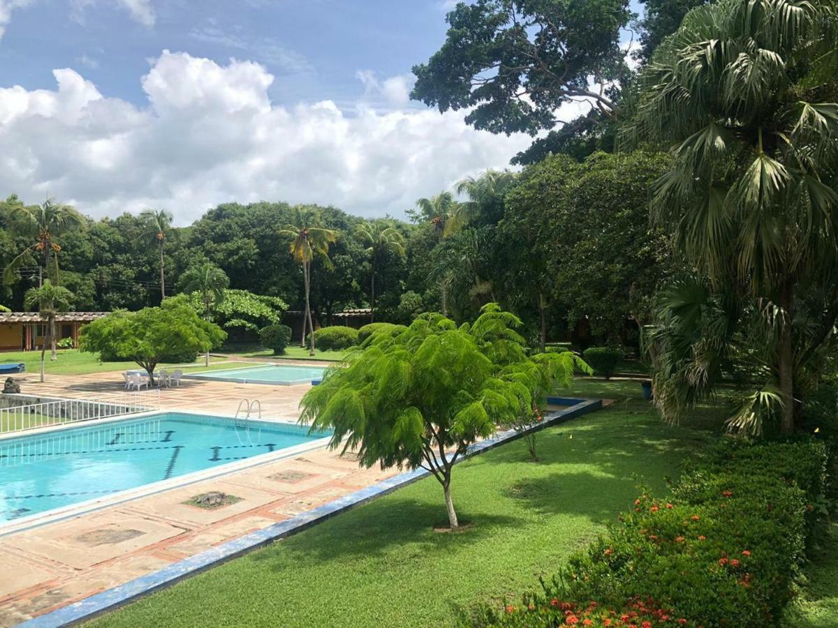 Diria Santa Cruz